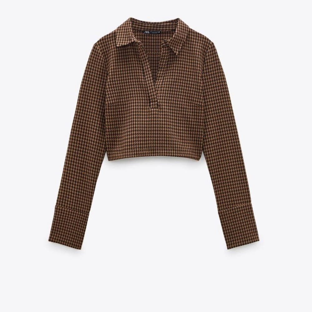 Zara Brown Top